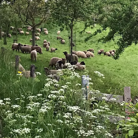 Vakantiewoning Cottesser Bij Het Plateau Heijenrath